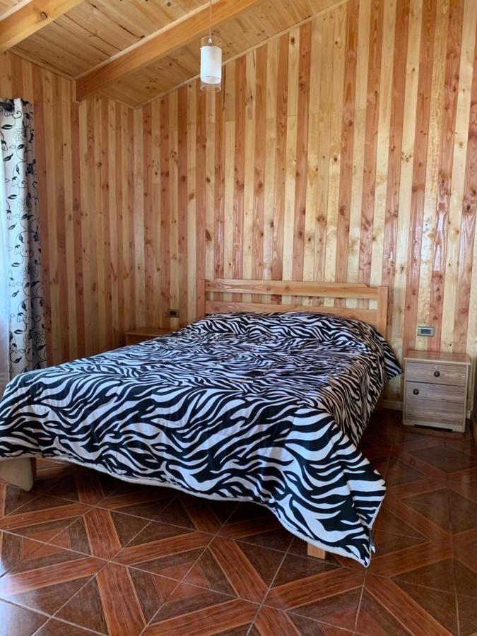 Apartamento Gonzalez Caniupan *